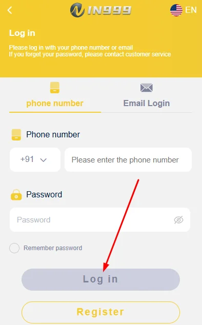 Click on the login button